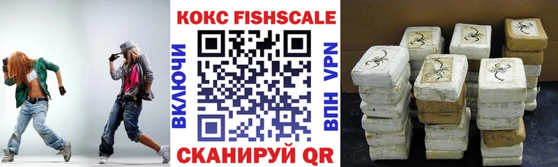 как найти Кашира COCAIN Эквадор