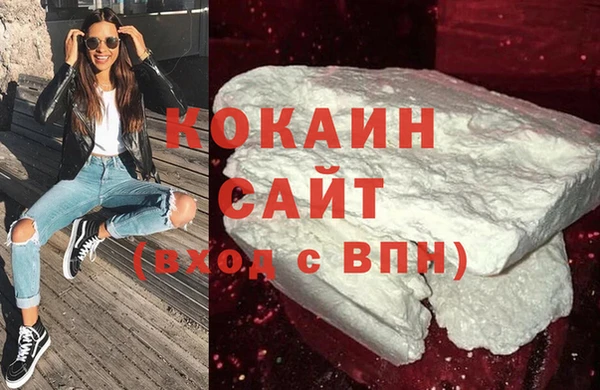 гидра Няндома