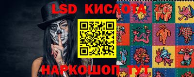 spice Гатчина