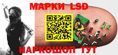spice Гатчина