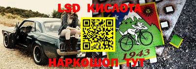 прущие грибы Азнакаево