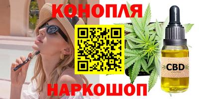 прущие крисы Гай