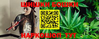 spice Гатчина