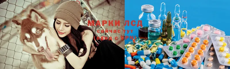 нарко площадка как зайти  Кашира  Лсд 25 экстази ecstasy 