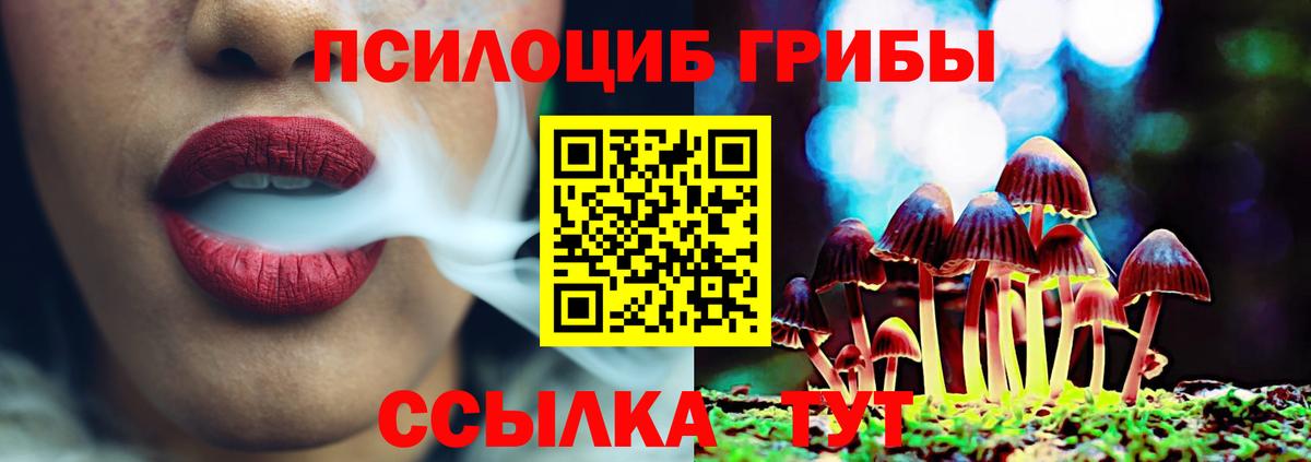 Псилоцибиновые грибы Magic Shrooms  Вход с VPN  Кашира 